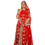 Scarlet Red Gottapatti Rajputi Poshak | Traditional Sikhiya Work on Bamber Satin | Jaipurio Designer Collection